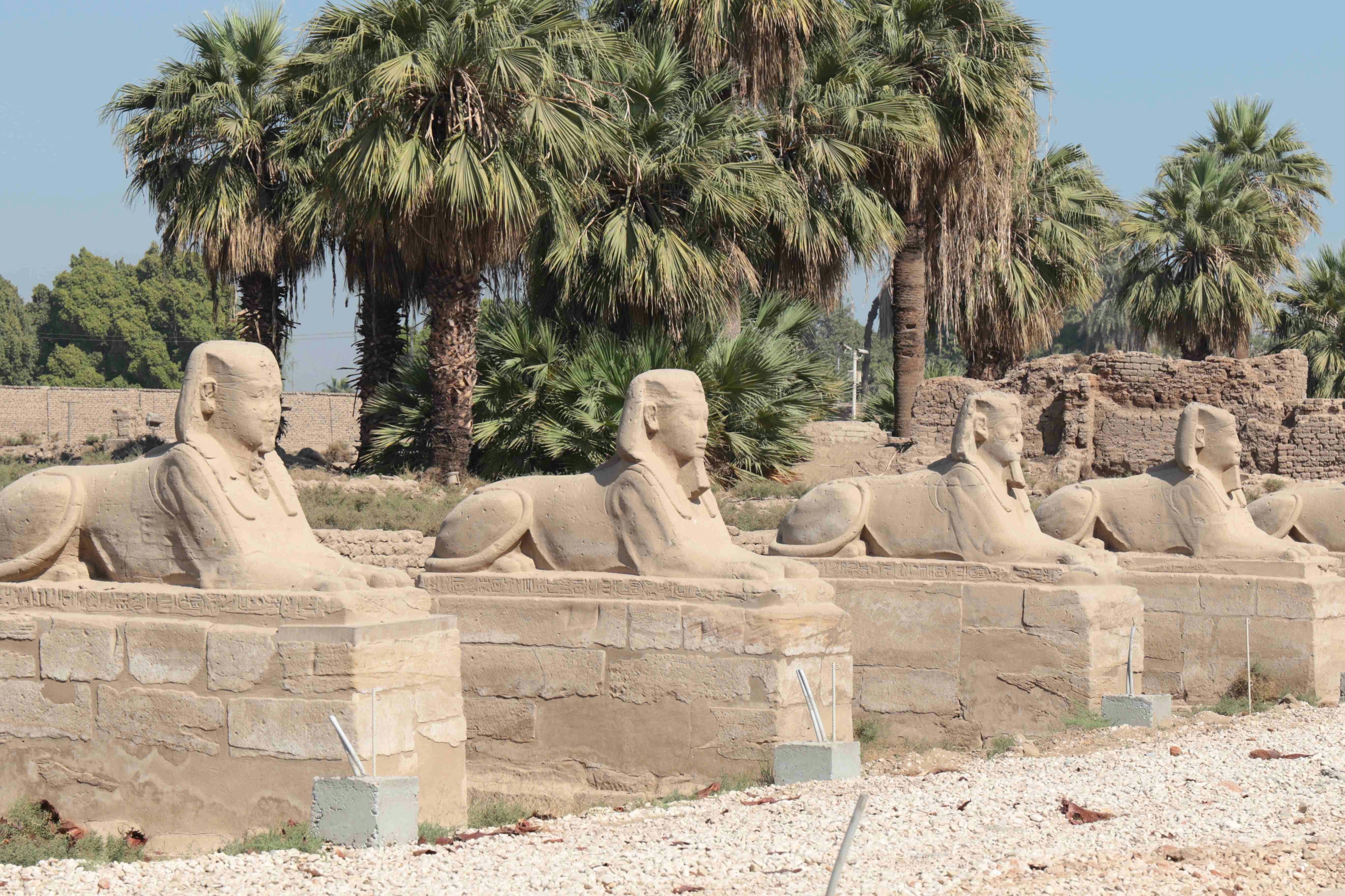 Luxor day tour with Nile cruise and lunch from Hurghada