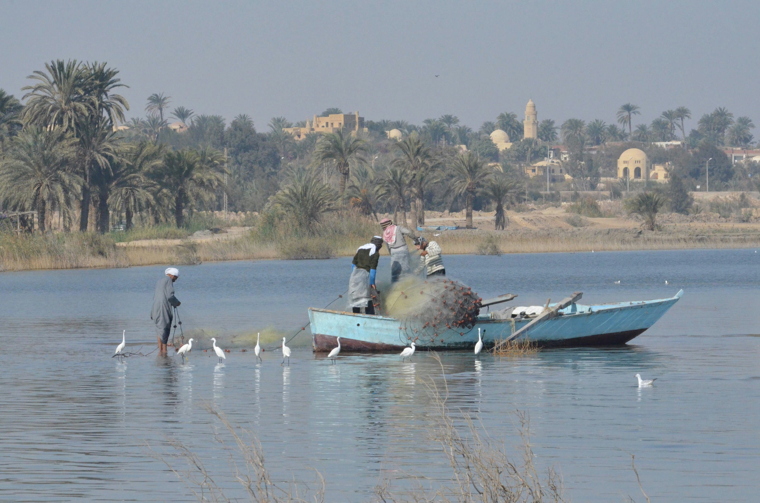 El- Fayoum Oasis and Wadi El Rayyan National Park plus Meidum Pyramid from Cairo