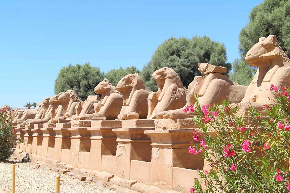 Luxor Deluxe guided tour from Hurghada