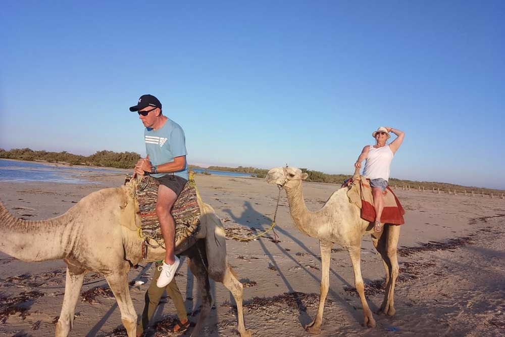 Jeep safari adventure at Nabq National Park with camel ride and dinner