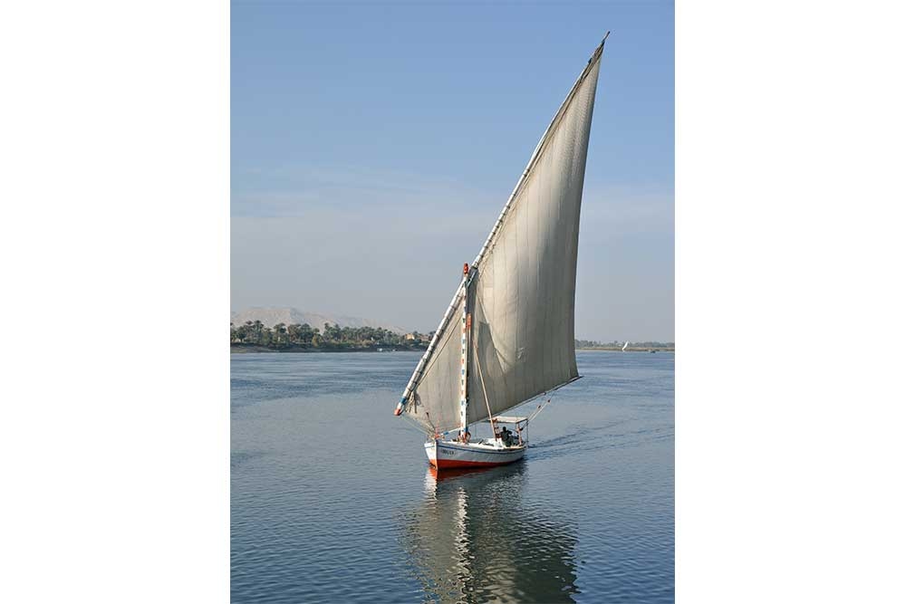 Valley of the Kings and Hatshepsut Temple with Felucca experience from Luxor