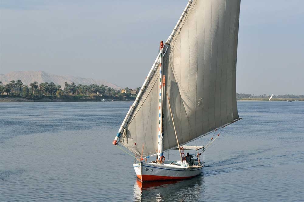 Valley of the Kings and Hatshepsut Temple with Felucca experience from Luxor