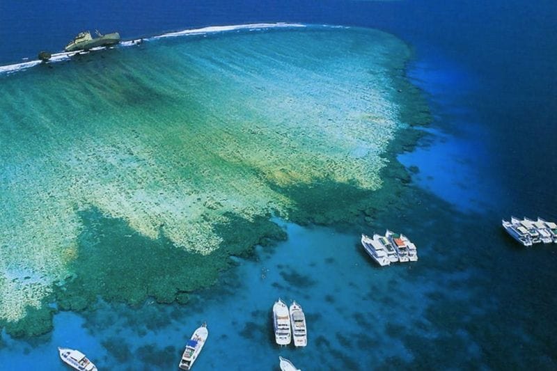 VIP Cruise to Tiran Island from Sharm El Sheikh