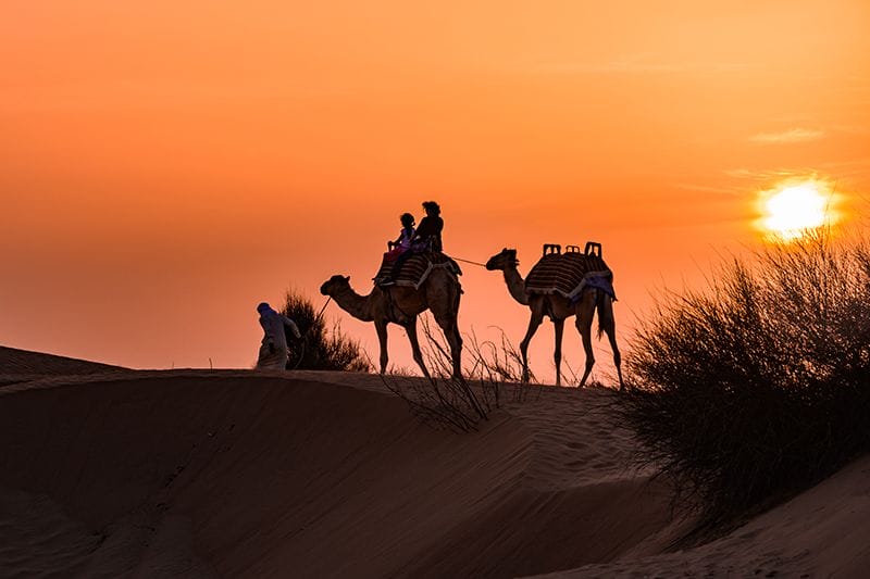 Quad bike, Camel ride, Bedouin dinner and show in Sharm El Sheikh