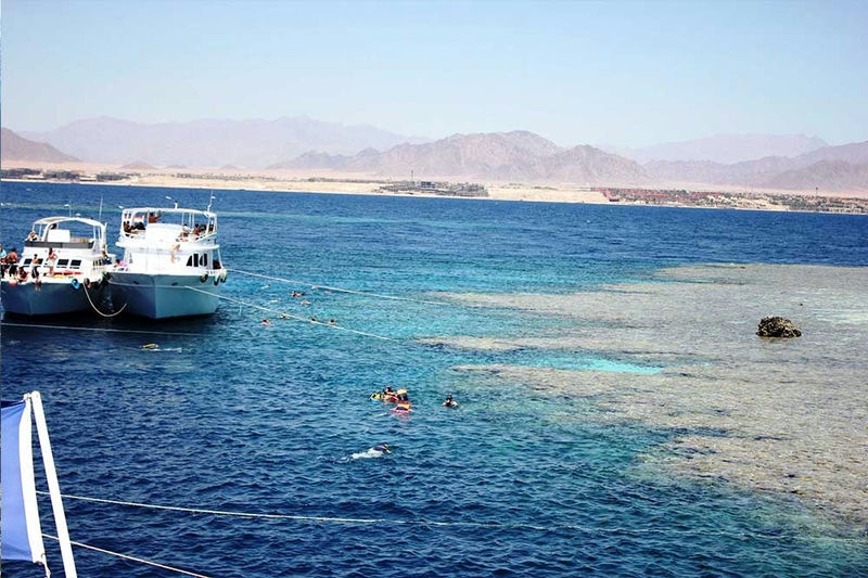 Half- day Snorkeling Boat trip with lunch and drinks from Sharm El Sheikh