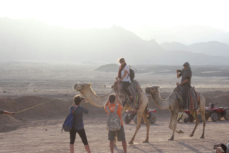 Quad bike, Camel ride, Bedouin dinner and show in Sharm El Sheikh