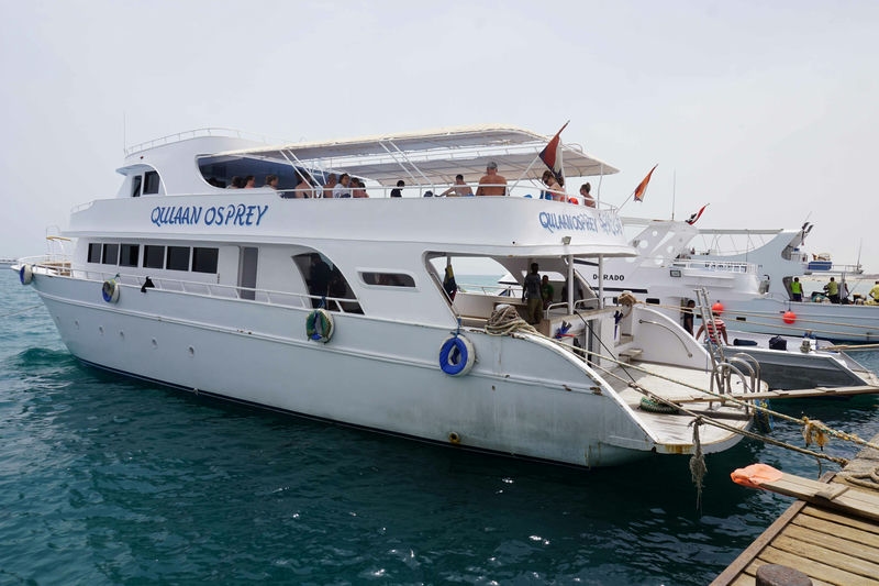Hamata Red Sea Cruise Experience in Marsa Alam